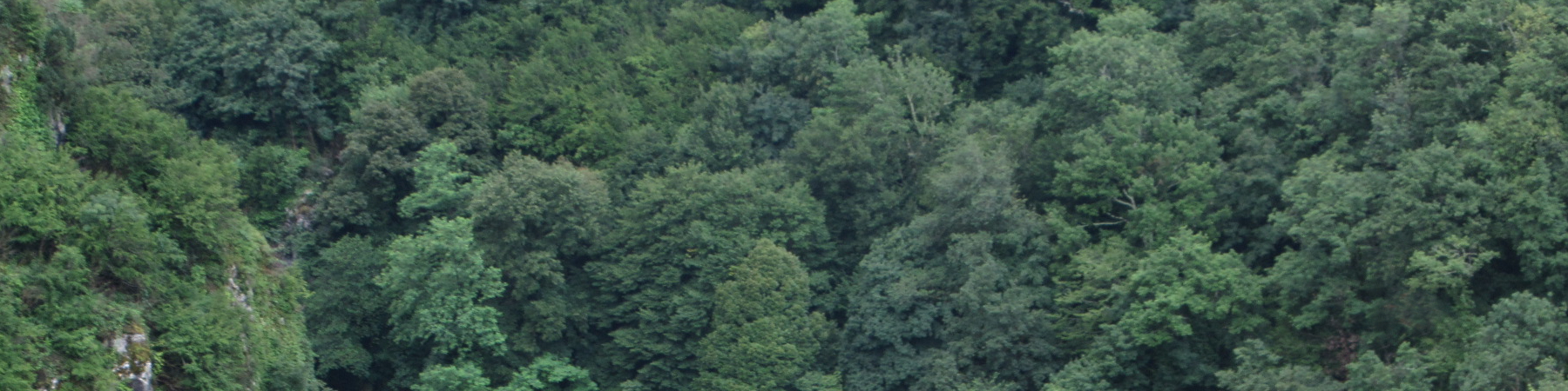 Feldenkrais und Singen: voll