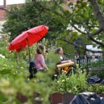 Zimní den bei Musik zwischen Himmel und Erde im August 2025 mit Kunsthaus Dresden und KGV Flora, Foto:Veikko Geyer