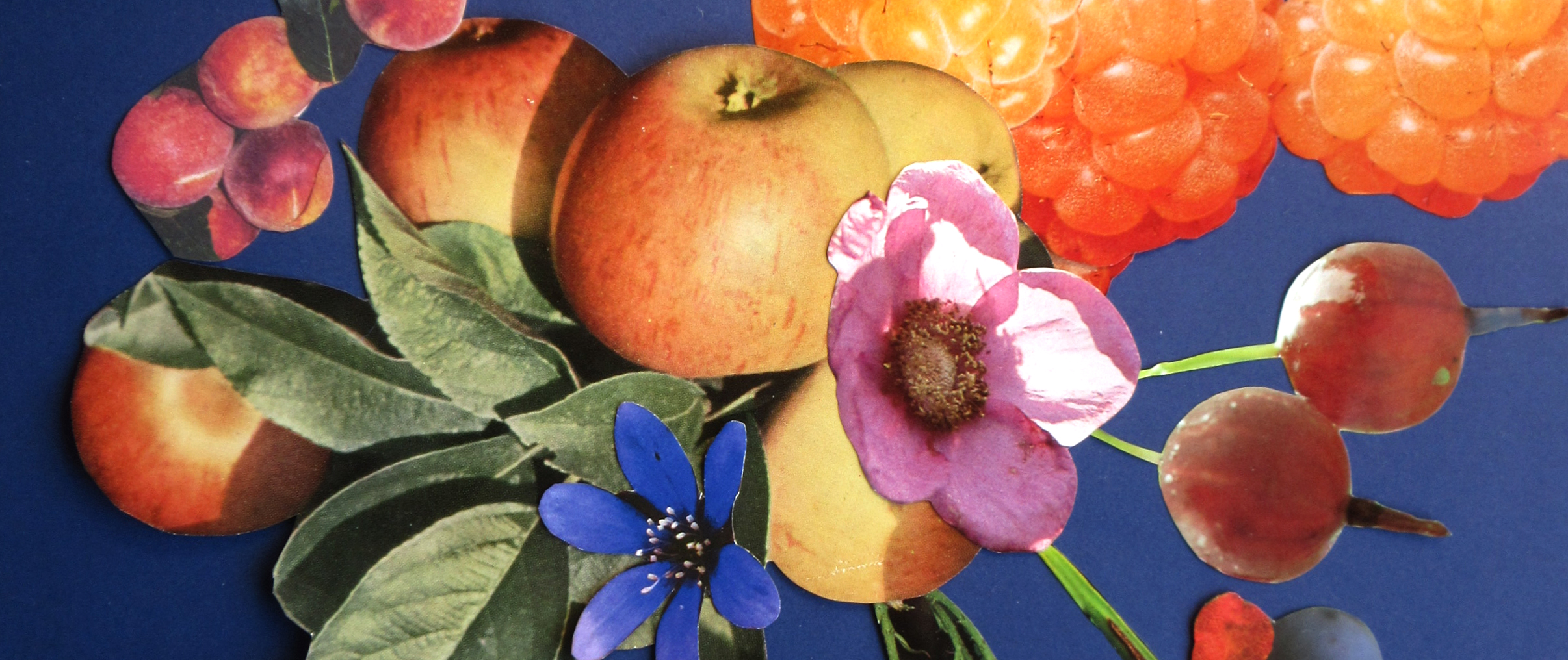 Äpfel, Kirschen, Beeren – Früchte im Lied
